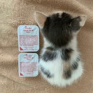 Meet your Posher, Ivan